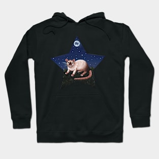 Siamese Rat Star Hoodie